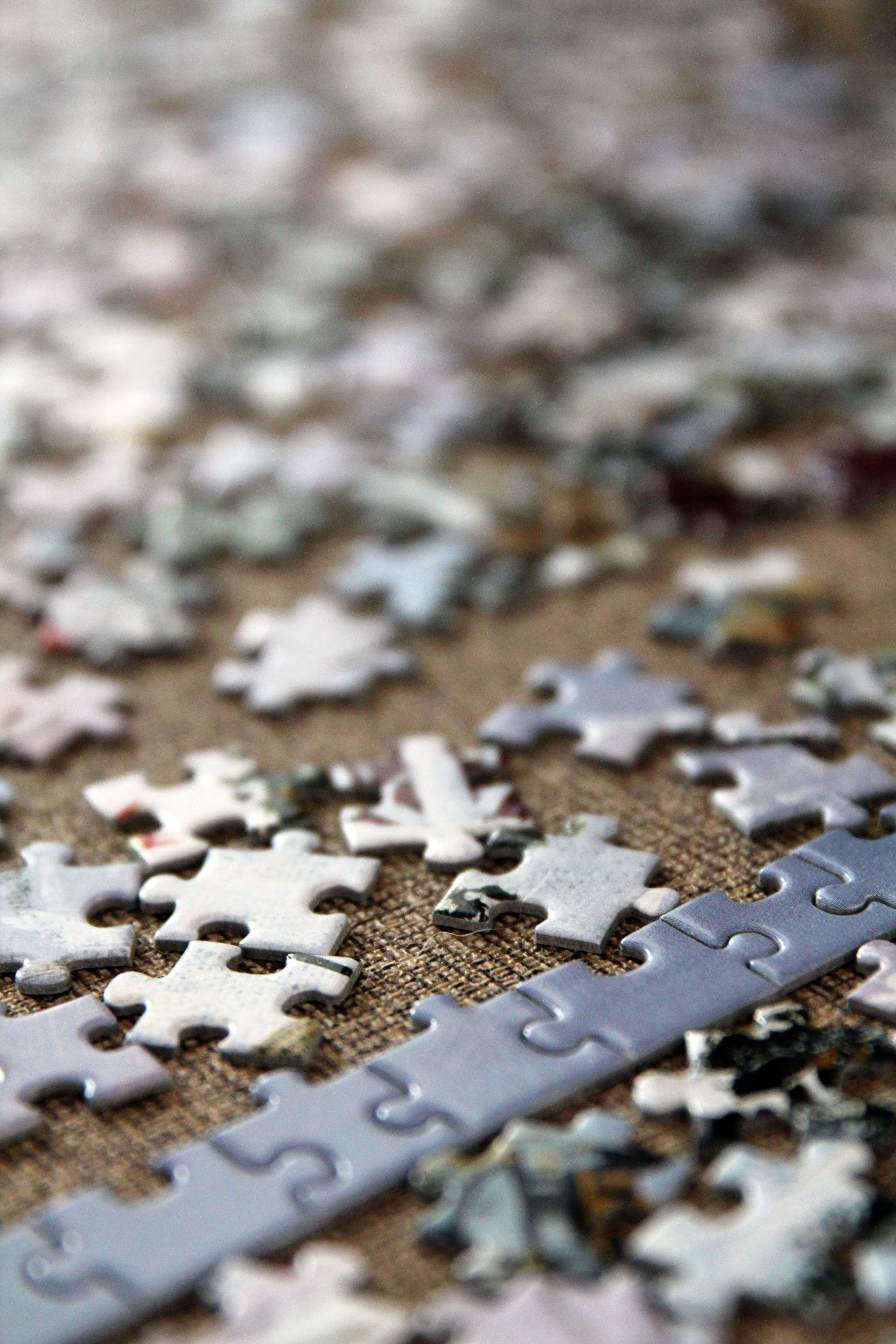 Waarnemen en puzzelen